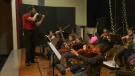 Elementary orchestra