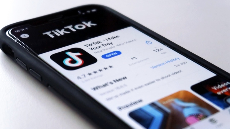 What happens to the data TikTok collects?