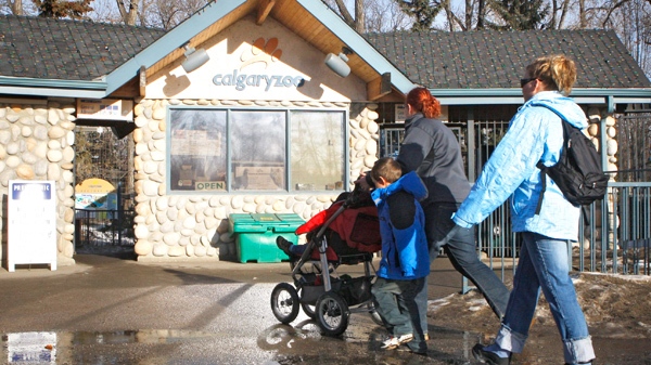 A family enters the Calgary Zoo Monday, Jan. 18, 2010. (Jeff McIntosh / THE CANADIAN PRESS)