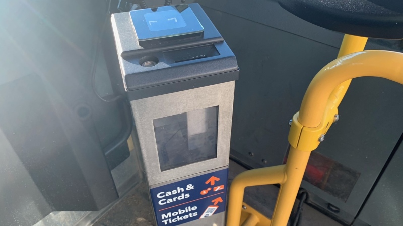 Some Sasaktoon transit passengers have been having trouble with the new bus fare boxes. (Miriam Valdes-Carletti/CTV News)