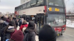 Transit riders wait for an R1 bus at Hurdman Station Monday, Jan. 9, 2023 as the O-Train remains partially disrupted five days after a freezing rain event during which trains became stuck. (Jim O'Grady/CTV News Ottawa)