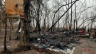 The aftermath of a fire at a Cambridge encampment is seen on Jan. 12, 2023. (Jeff Pickel/CTV Kitchener)