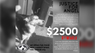 Justice for Angel poster. (Source: Windsor Essex County Humane Society)