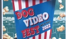 Sudbury’s Indie Cinema held its first ever Dog Video Fest Saturday. Dozens came out to enjoy a good laugh while watching some of the top dog videos from across the world. (Molly Frommer/CTV News Northern Ontario)