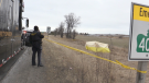 Provincial police investigate the discovery of a body along Highway 400 in Bradford West Gwillimbury, Ont., on Thurs., Jan. 19, 2023. (CTV News/Steve Mansbridge)