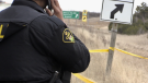 An Ontario Provincial Police officer is pictured along Highway 400 in Bradford West Gwillimbury, Ont., on Thurs., Jan. 19, 2023. (CTV News/Steve Mansbridge)