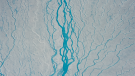 Rivers of meltwater (Greenland's ice sheet) (Alfred-Wegener-Institut / S. Kipfstuhl)