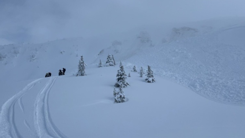 1 dead after snowmobilers caught in avalanche near Valemount, B.C. 