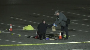 A section of the mall parking lot was closed for several hours while investigators gathered evidence near the London Drugs, where the stabbing occurred, police said. (CTV News)