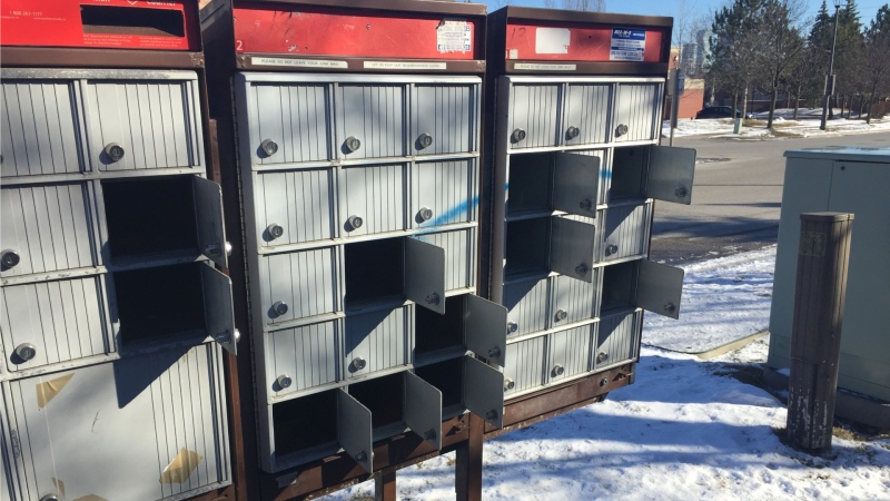 Mail theft a growing concern following rash of mailbox break-ins in GTA