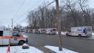 Ambulances line up outside Guelph General Hospital on Monday due to a code red.(OPSEU/Twitter)