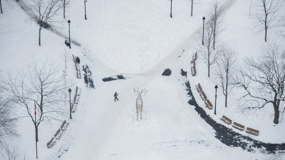 snow covered park in Montreal