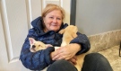 Debbie Devlin has been fostering dogs and cats for nine years. This time around she is fostering two mixed-breed puppies. (Alana Everson/CTV News)