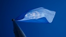 A United Nations flag flies at the United Nations in New York on Tuesday, Sept. 20, 2022. THE CANADIAN PRESS/Sean Kilpatrick