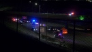 Calgary police say a woman died after she was struck in the northbound lanes of Deerfoot Trail on Wednesday night.