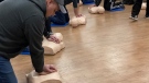 Several people undergo CPR training with St. John Ambulance in Barrie, Ont., on Thurs., Jan. 26, 2023 (CTV News/KC Colby)