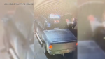 A video shows an altercation between an officer and someone in a black truck. (Submitted/Stratford Police Service)