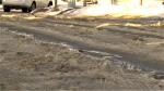 Ice ruts in the Brintnell neighbourhood of Edmonton on January 26, 2023 (Marek Tkach/CTV News Edmonton)