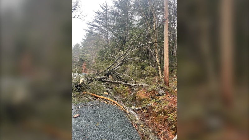 Nova Scotia Power says Thursday's outages were caused by high winds, which brought trees in contact with power lines. (Source: Twitter/Nova Scotia Power)