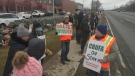 Members of the Cape Breton University Faculty Association are seen on the picket lines outside the school in Sydney, N.S., on Jan. 27, 2023. (Kyle Moore/CTV Atlantic)