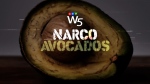 W5: Narco Avocados