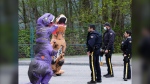 An image of the protest from the "T.Rex against TMX legal defence fund" fundraising page. (fundrazr.com)