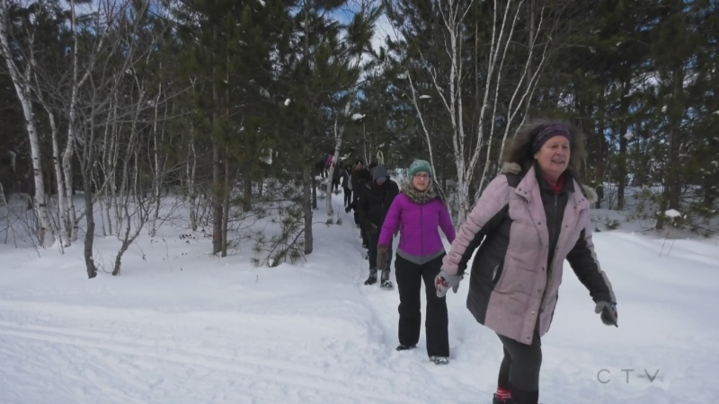 Dozens made it out on Saturday for a walk through Laurentian University's Green Space. (Ian Campbell/CTV News Northern Ontario)