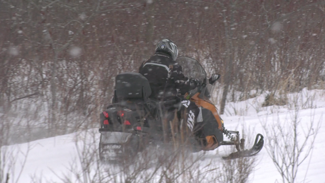 A snowmobiler rides through one of the few trails currently open in Simcoe County on Sat., Jan. 28 (Ian Duffy/CTV News). 