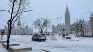 Ottawa police remained on scene on Wellington Street Sunday, Jan. 29, 2023. On Saturday, a small group of Freedom Convoy supporters gathered on the hill to mark one year since the convoy arrived in Ottawa. (Josh Pringle/CTV News Ottawa)