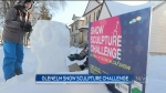 Durand-Wood said some 40 households have carved incredible snow creations over the past few weeks. (Source: Zach Kitchen, CTV News)