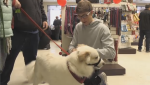 Owen Fleming, the owner of Terrible Toby’s Pet Supply Depot, is marking a business milestone with a donation. (Tyler Kelaher/CTV News)