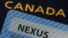 A NEXUS card and a Canadian passport are pictured in Ottawa on Jan. 17, 2023. THE CANADIAN PRESS/Sean Kilpatrick