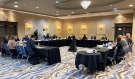 The Standing Committee on Finance and Economic Affairs was in Sudbury on Monday. Members are travelling across the province gathering in-person input as part of 2023 pre-budget consultations. (Alana Everson/CTV News)