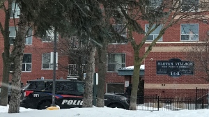 Brantford police cruisers seen outside of an apartment building on Fifth avenue on Jan. 30. (Dan Lauckner/CTV Kitchener)