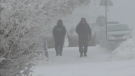 Manitoba experienced extreme cold on Jan. 28, 2023. (Source: Mason DePatie/CTV News)