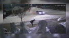 Surveillance image shows a man getting out of a car and attempting to damage a snow sculpture in east London. (Source: Jared Clark)