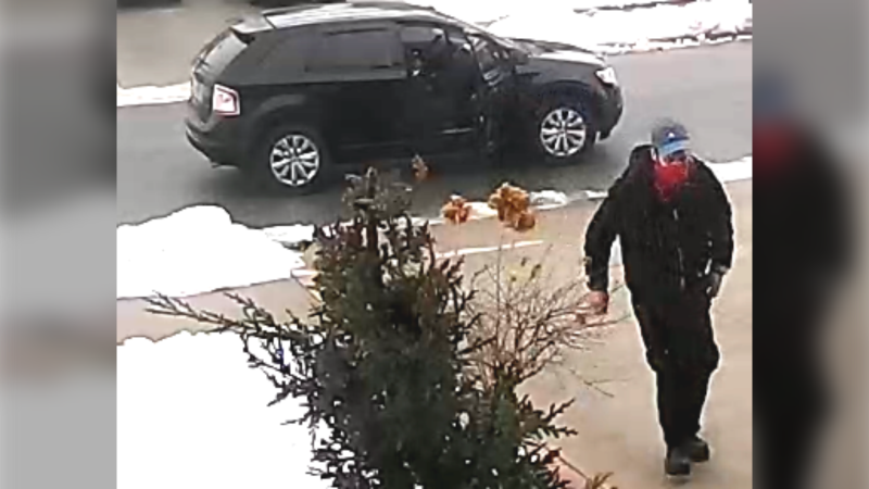 LaSalle police are asking the public to help identify an alleged porch pirate in the Seven Lakes neighbourhood in LaSalle, Ont. (Source: LaSalle police)