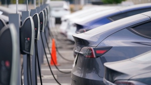 This Aug. 23, 2020 photo shows a long line of unsold 2020 models charge outside a Tesla dealership in Littleton, Colo. (AP Photo/David Zalubowski, File) 
