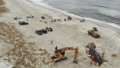 People work around the carcass of a dead whale in Lido Beach, N.Y., Tuesday, Jan. 31, 2023. The 35-foot humpback whale, that washed ashore and subsequently died, is one of several cetaceans that have been found over the past two months along the shores of New York and New Jersey. (AP Photo/Seth Wenig)