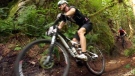 South Island town wants to expand mountain biking