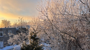 A frozen morning in Montreal. (Daniel J. Rowe/CTV News)