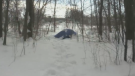 Homeless youth resort to sleeping in tents in Milligan's Pond. Feb. 3, 2023. (CTV NEWS/BARRIE)