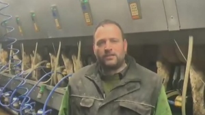 Farmer posts emotional video while dumping milk