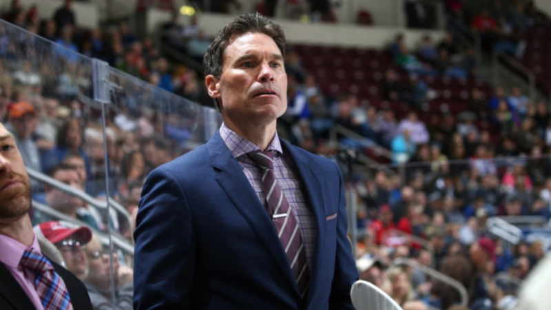 Troy Mann was fired as head coach of the AHL Belleville Senators on Thursday. (TSN)