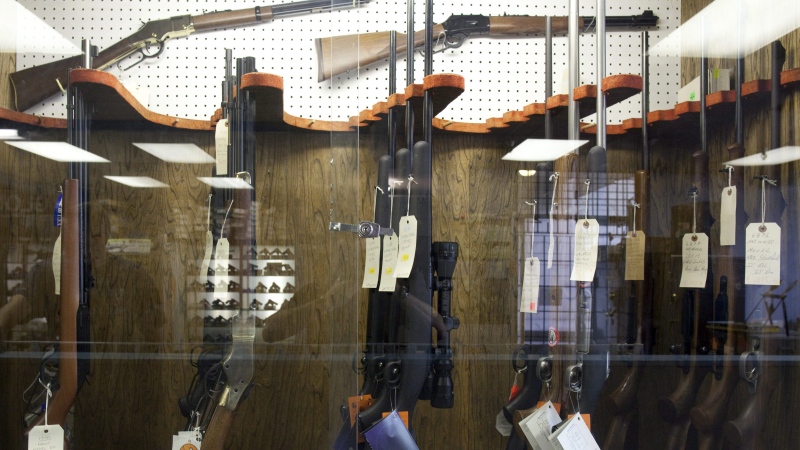 Liberals withdraw controversial amendment to guns bill