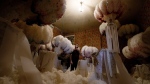 Quentin Kersten stands in the middle of a room full of ostrich feather hats in the Kersten family costume workshop in Binche, Belgium, Wednesday, Feb. 1, 2023. (AP Photo/Virginia Mayo)