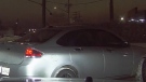 Saskatchewan's Serious Incident Response Team (SIRT) is looking to speak to the driver of this Ford Focus who may have witnessed an officer-involved shooting. (SIRT)
