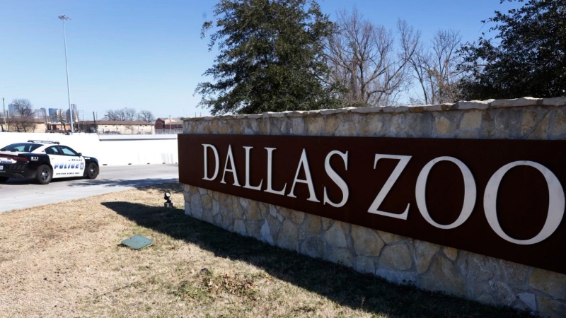Man arrested in taking of monkeys from Dallas Zoo: police