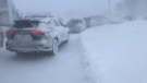 Drivers stranded along Highway 26 in Clearview Township, Friday February 3rd, 2023 (Christian D'Avino / CTV News)