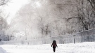 A person walks through a park during frigid temperatures in Montreal, Feb. 4, 2023. THE CANADIAN PRESS/Graham Hughes